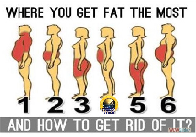 11811481_979258362119352_3577838814529281912_n